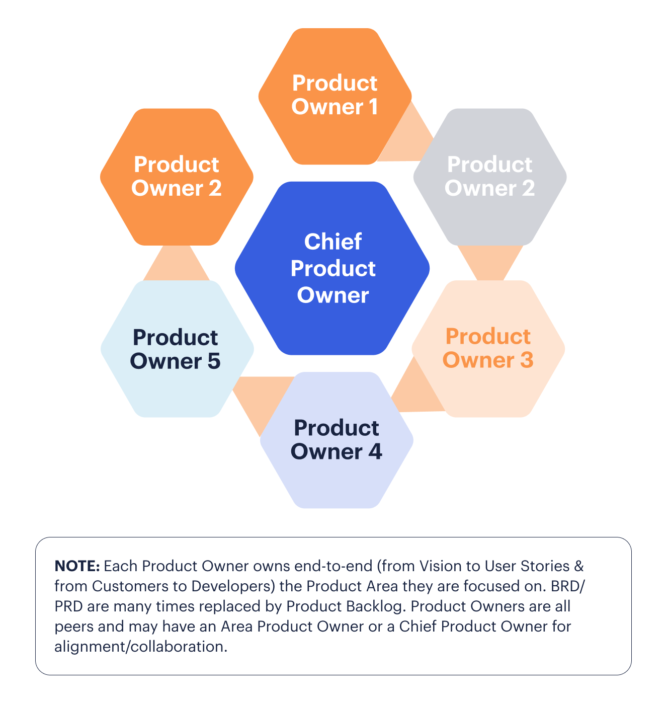Chief product owner
